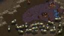Starcraft TrÃ¤gerflotte